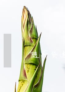 随薪贷逾期暴力催收 随薪贷逾期暴力催收