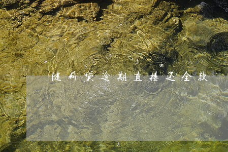 随薪贷逾期直接还全款 随薪贷逾期直接还全款