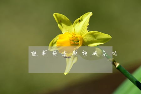 随薪贷逾期能减免吗 随薪贷逾期能减免吗