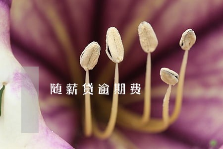 随薪贷逾期费