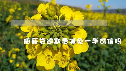 随薪贷逾期费减免一半可信吗