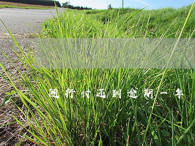 随行付还到逾期一年 随行付还到逾期一年