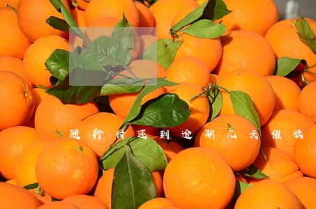 随行付还到逾期几天催收 随行付还到逾期几天催收