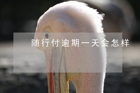 随行付逾期一天会怎样 随行付逾期一天会怎样