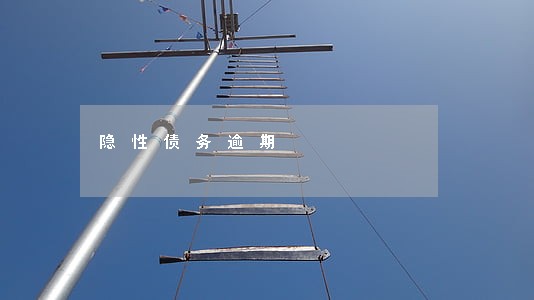隐性债务逾期 隐性债务逾期