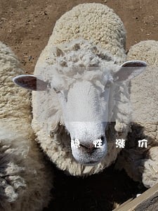 隐性涨价凸显法律空当 隐性涨价凸显法律空当