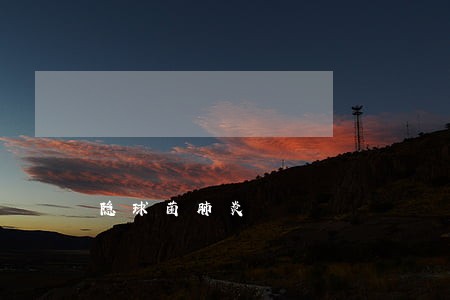 隐球菌肺炎 隐球菌肺炎