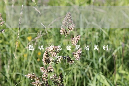 隐瞒信息逾期的案例 隐瞒信息逾期的案例