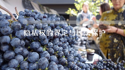 隐私权的界定与民法保护 隐私权的界定与民法保护