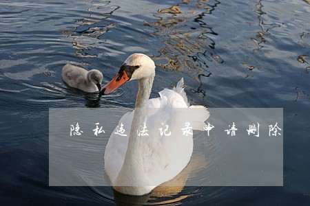 隐私违法记录申请删除 隐私违法记录申请删除