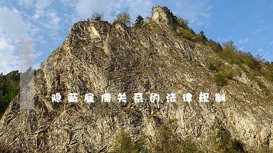 隐蔽雇佣关系的法律规制 隐蔽雇佣关系的法律规制