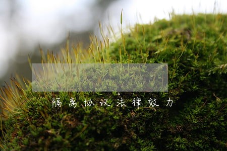 隔离协议法律效力 隔离协议法律效力