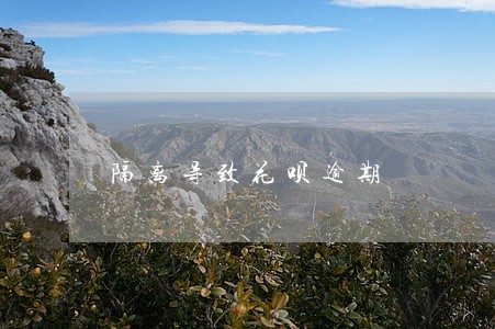 隔离导致花呗逾期 隔离导致花呗逾期