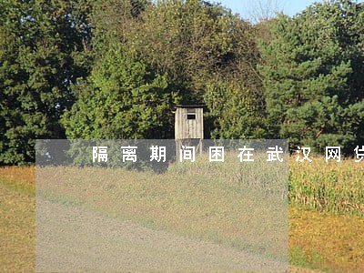 隔离期间困在武汉网贷逾期 隔离期间困在武汉网贷逾期