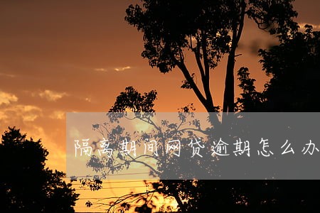 隔离期间网贷逾期怎么办