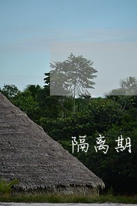 隔离期间花呗借呗逾期 隔离期间花呗借呗逾期