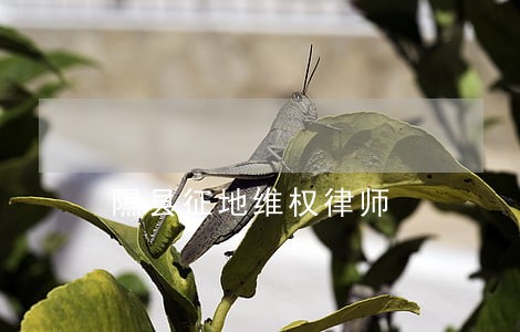 隰县征地维权律师