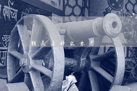 难民法什么意思 难民法什么意思