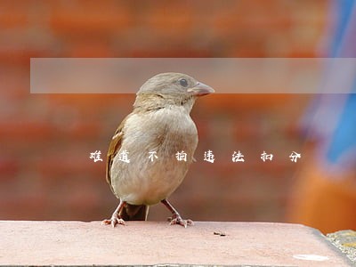 难道不拍违法扣分 难道不拍违法扣分