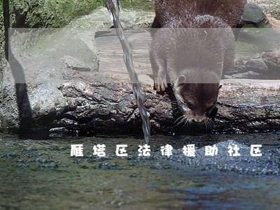 雁塔区法律援助社区 雁塔区法律援助社区
