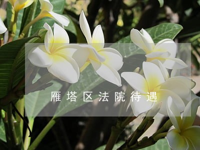 雁塔区法院待遇 雁塔区法院待遇