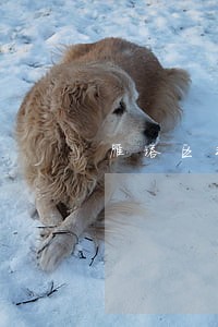 雁塔区非法经营罪辩护律师费 雁塔区非法经营罪辩护律师费