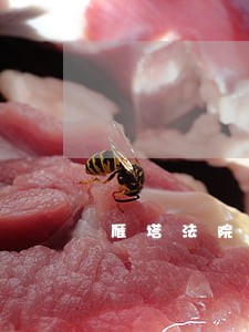 雁塔法院房地产判决