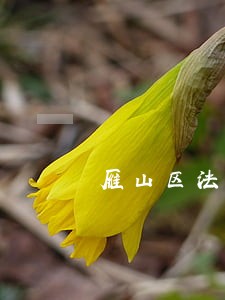 雁山区法律援助金 雁山区法律援助金