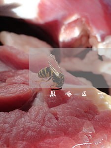 雁峰区一站式法律援助 雁峰区一站式法律援助
