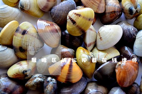 雁峰区诉讼仲裁在线律师 雁峰区诉讼仲裁在线律师