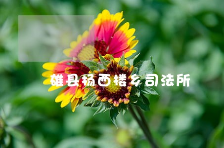 雄县杨西楼乡司法所 雄县杨西楼乡司法所