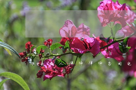 雄县私人律师律师咨询电话 雄县私人律师律师咨询电话