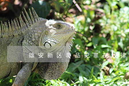 雄安新区毒品犯罪在线律师 雄安新区毒品犯罪在线律师
