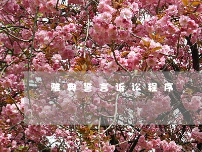 雅典誓言诉讼程序 雅典誓言诉讼程序