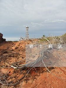 雅士利案律师辩护 雅士利案律师辩护