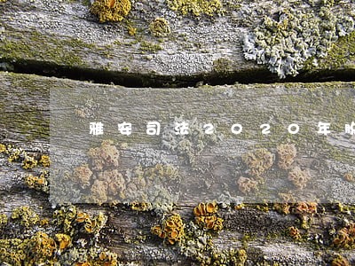 雅安司法2020年脱贫攻坚工作