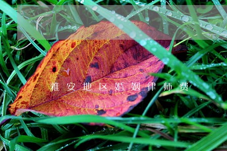 雅安地区婚姻律师费 雅安地区婚姻律师费