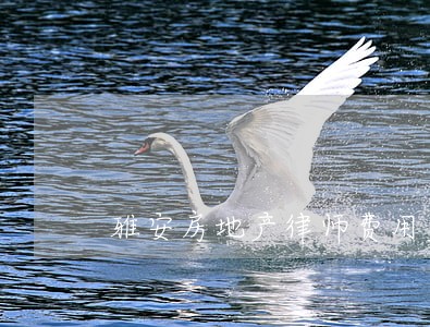 雅安房地产律师费用多少