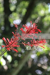 雅安法院北京石油交易所 雅安法院北京石油交易所