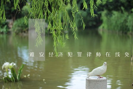 雅安经济犯罪律师在线免费咨询 雅安经济犯罪律师在线免费咨询
