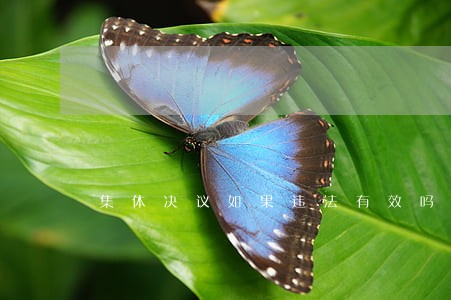 集体决议如果违法有效吗 集体决议如果违法有效吗