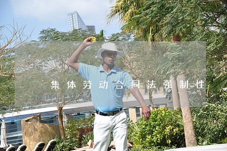 集体劳动合同法强制性 集体劳动合同法强制性