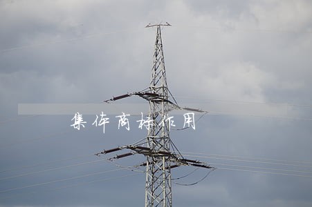 集体商标作用 集体商标作用