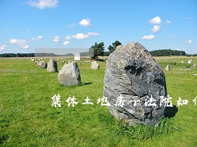 集体土地房子法院如何查到 集体土地房子法院如何查到