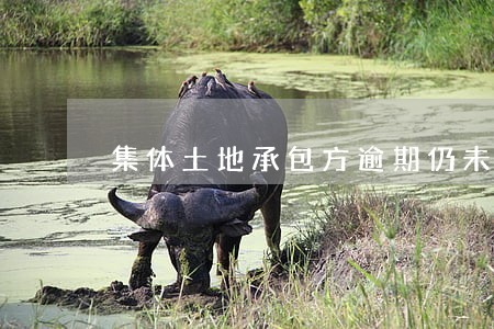集体土地承包方逾期仍未缴纳 集体土地承包方逾期仍未缴纳