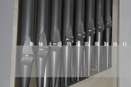 集体土地的法院强制执行 集体土地的法院强制执行