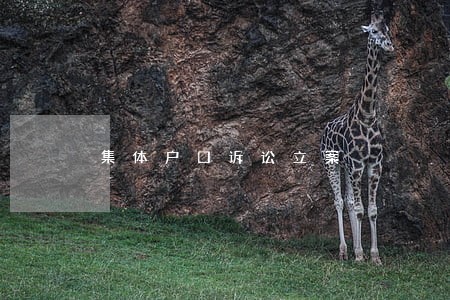 集体户口诉讼立案