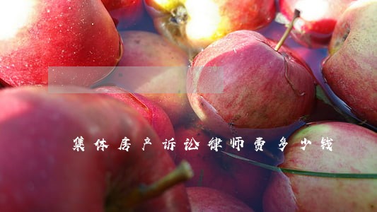 集体房产诉讼律师费多少钱 集体房产诉讼律师费多少钱