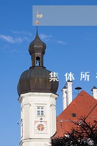 集体所有制企业逾期
