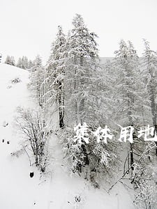 集体用地法规